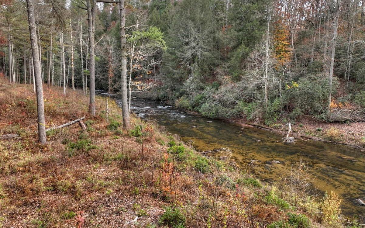 LT226 Woodstone Trail