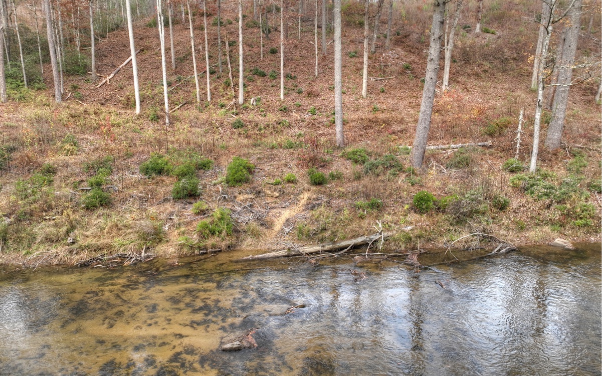 LT226 Woodstone Trail