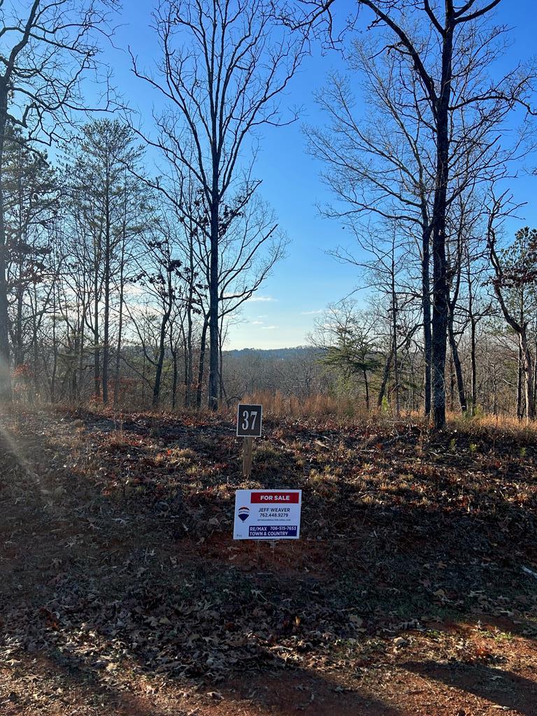 37 Blalock Mountain Road