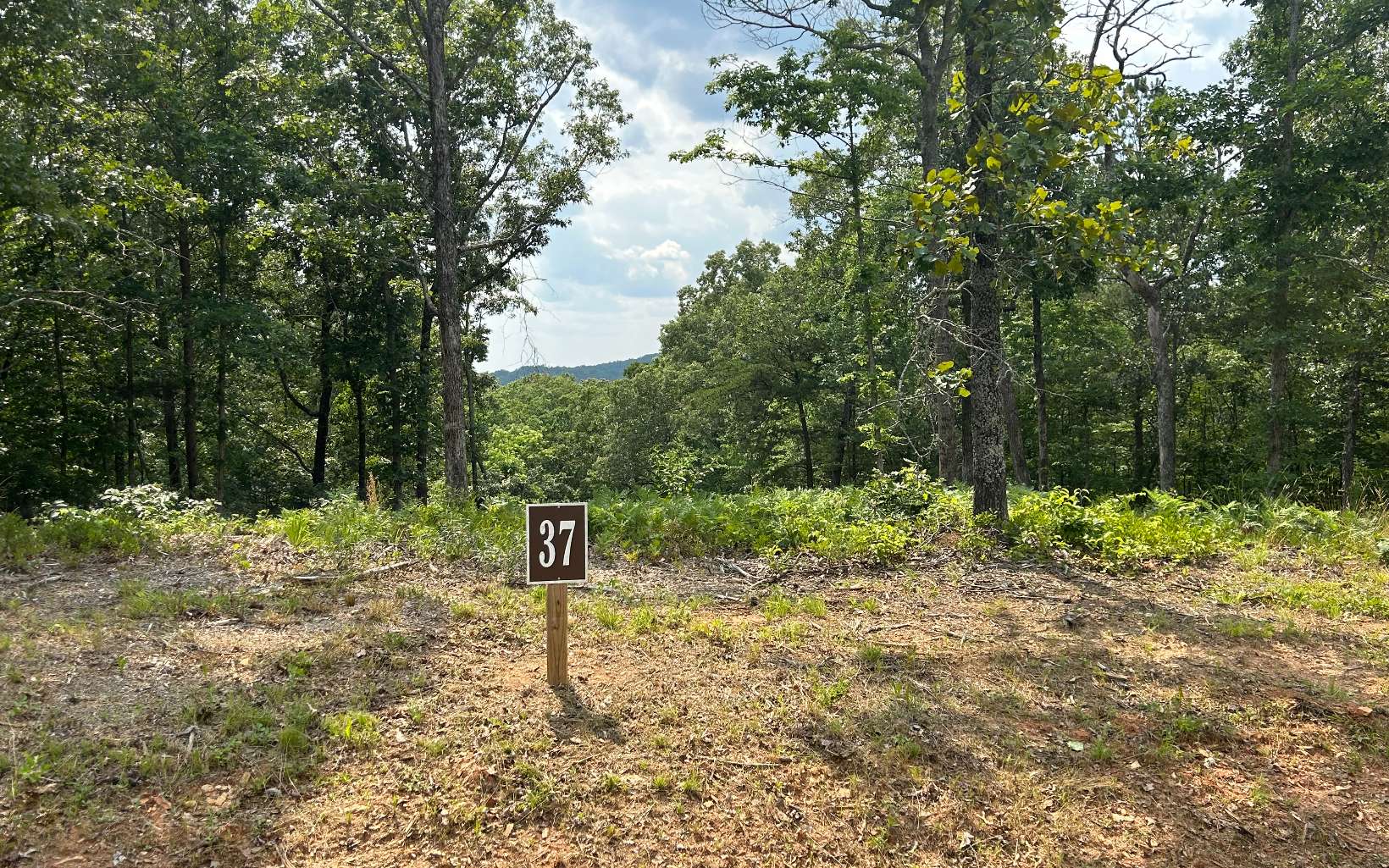 37 Blalock Mountain Road