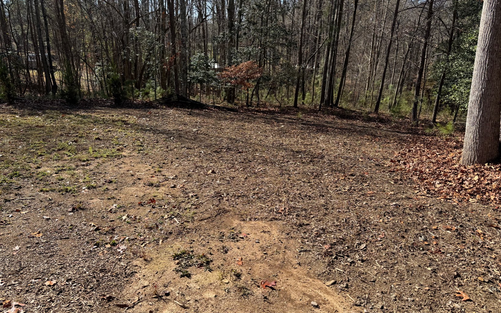 123 Ridgecrest Court