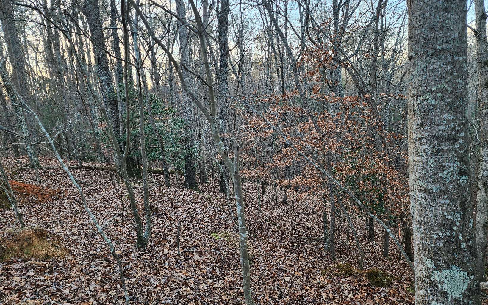 Pamela Ct (Lot 2237)