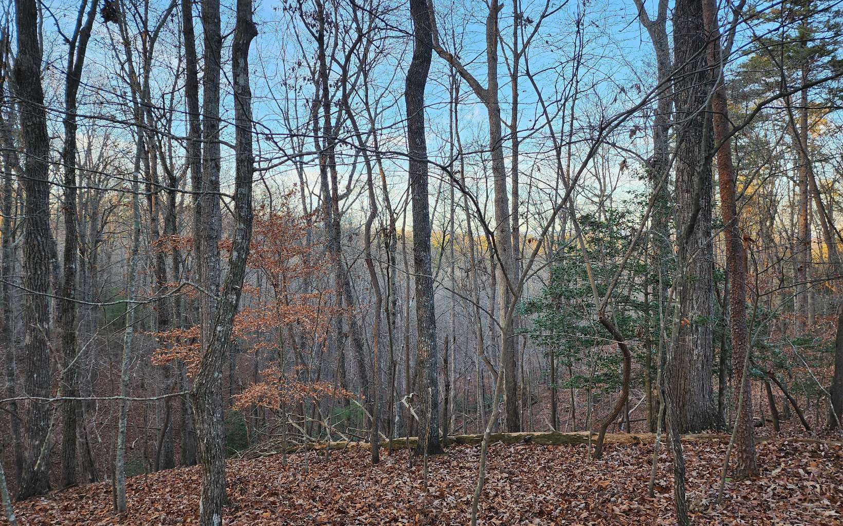 Pamela Ct (Lot 2237)