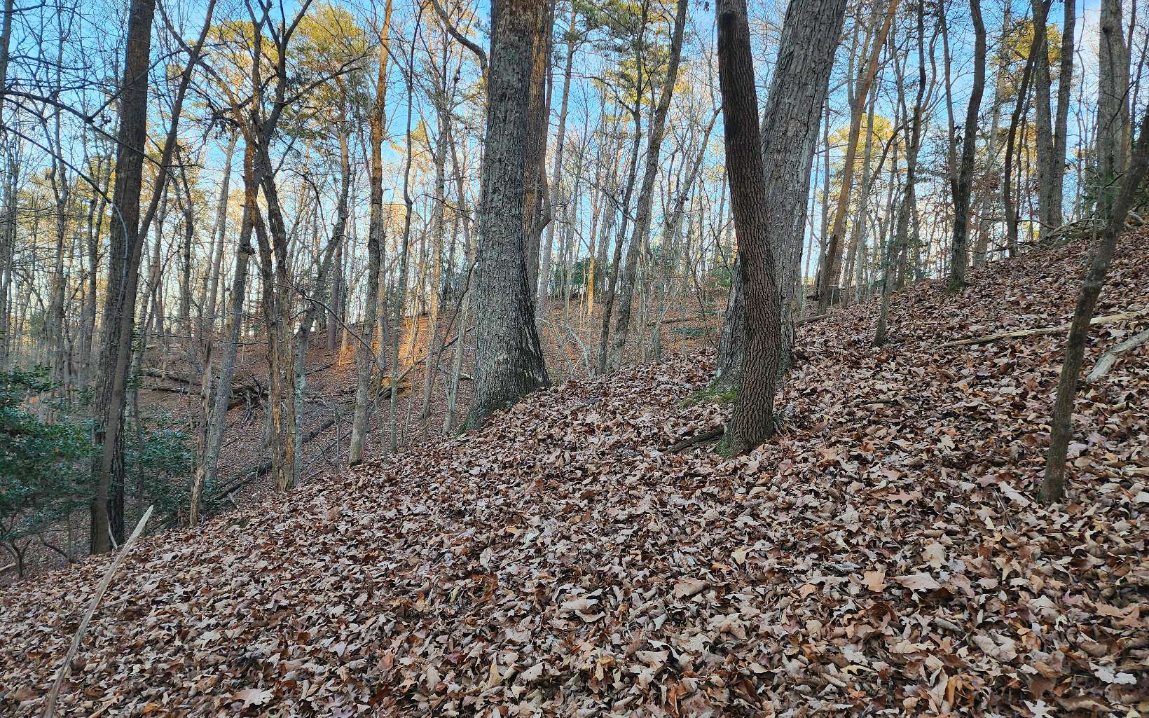 Pamela Ct (Lot 2237)
