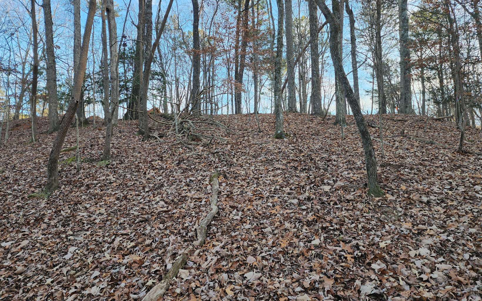 Pamela Ct (Lot 2237)