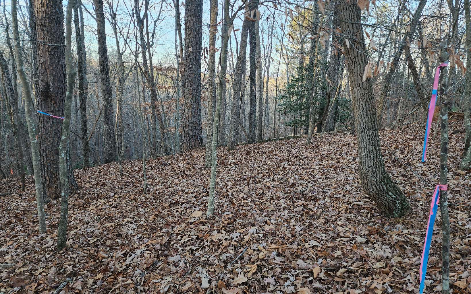 Pamela Ct (Lot 2237)