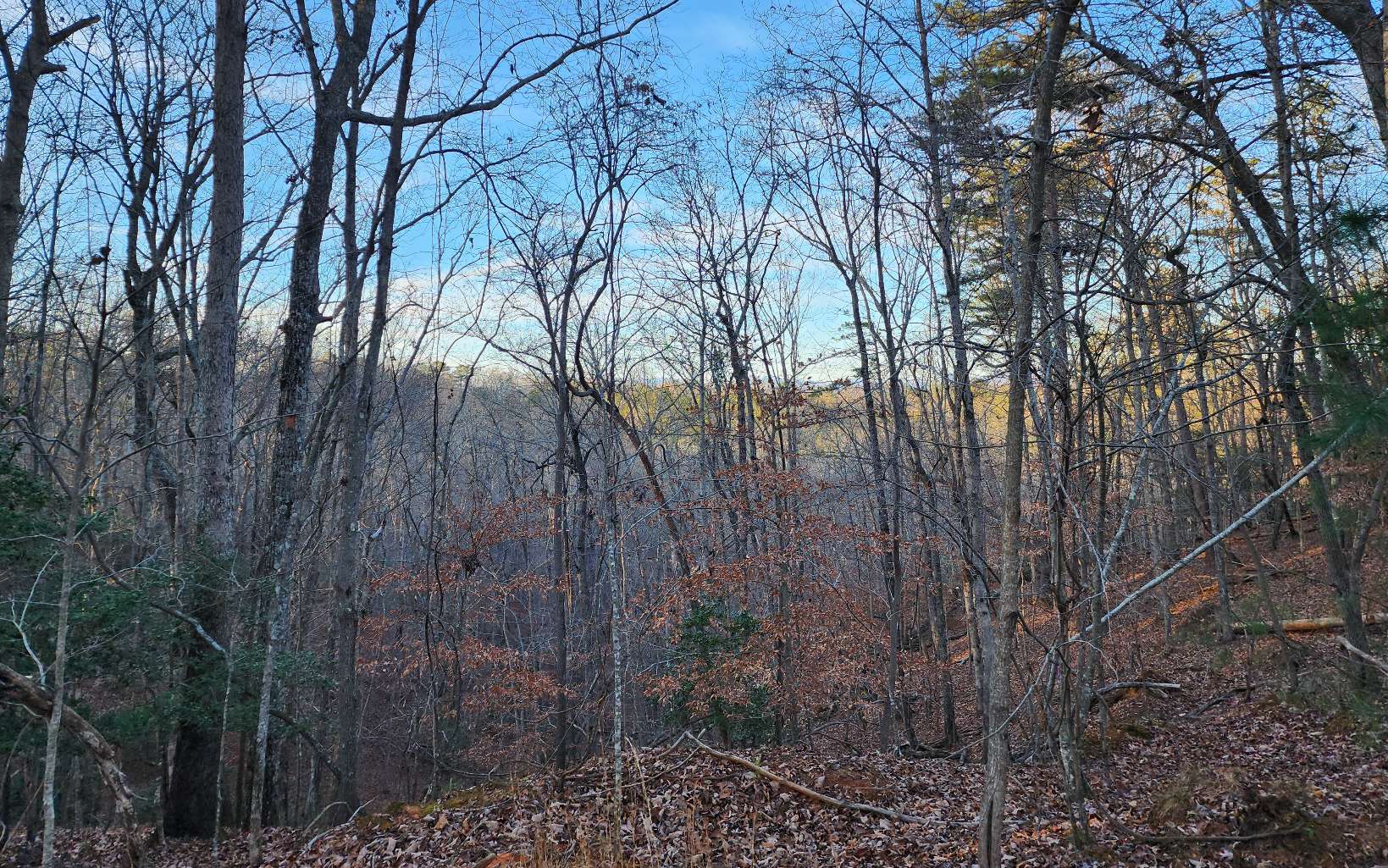 Pamela Ct (Lot 2237)