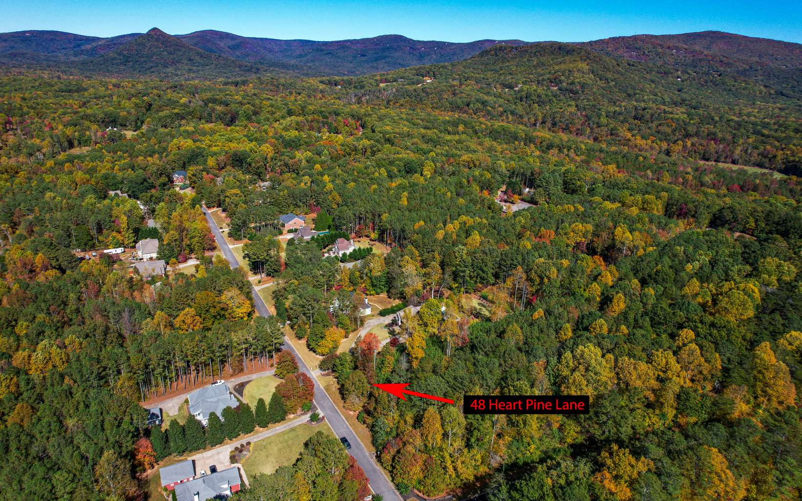 48 Heart Pine Lane