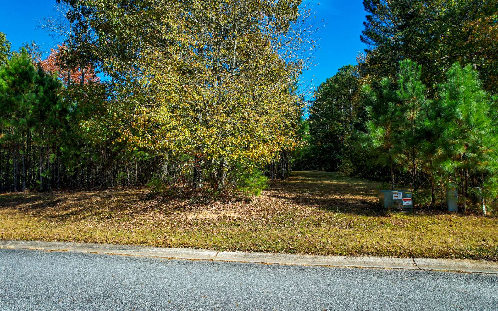 48 Heart Pine Lane