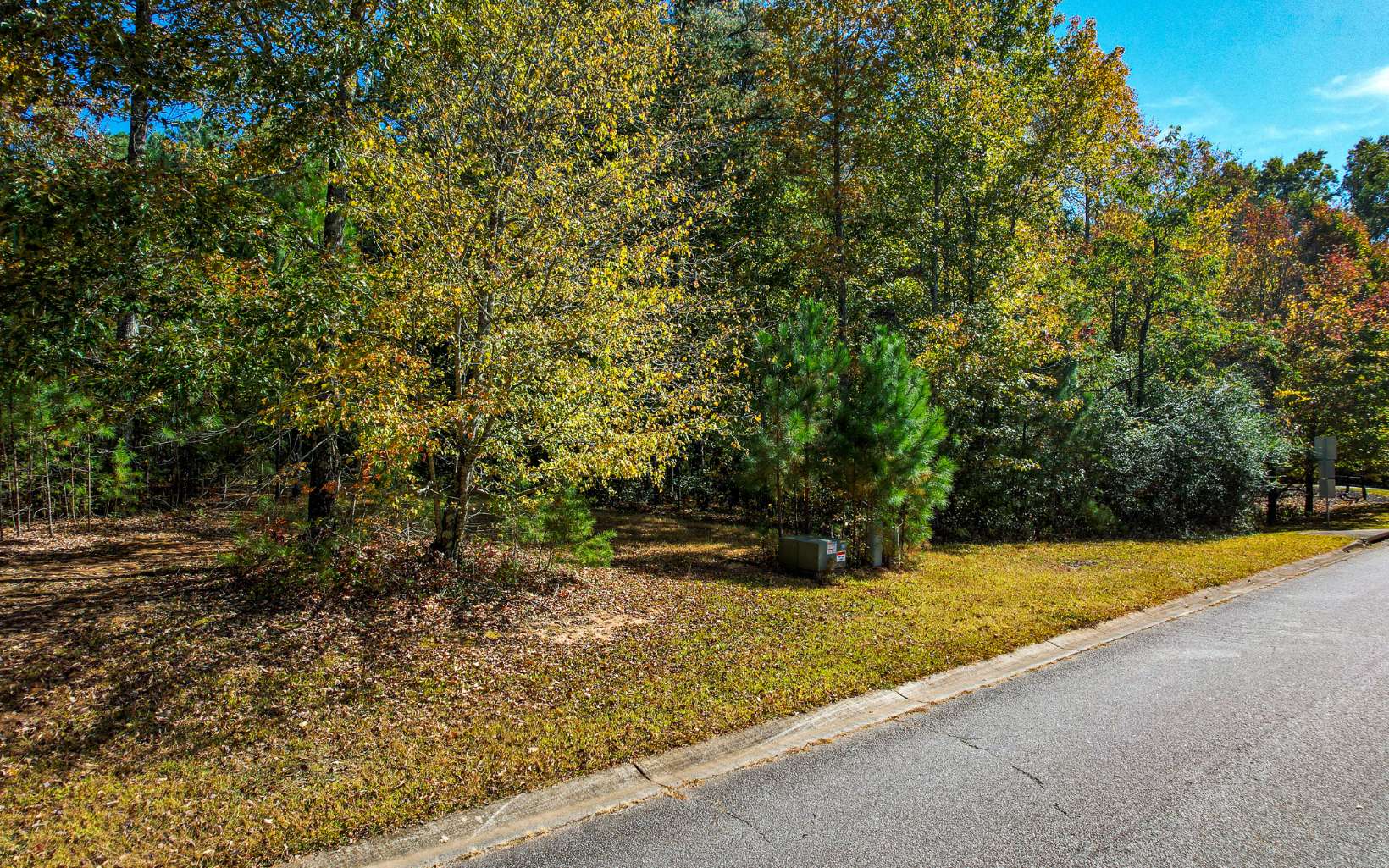 48 Heart Pine Lane