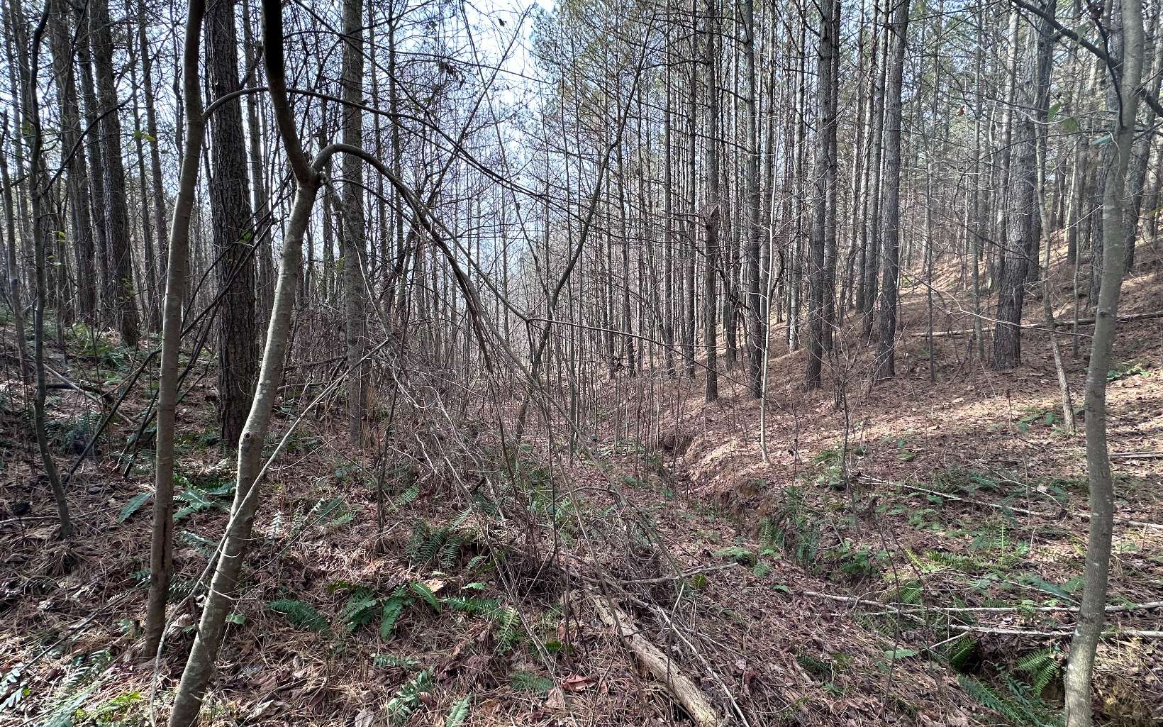 LT 45 Grandview Lane