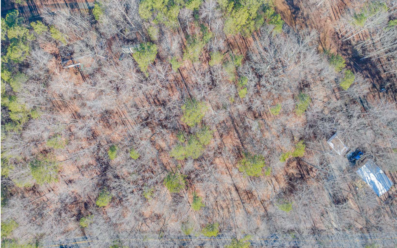 23 Cheyenne Trail