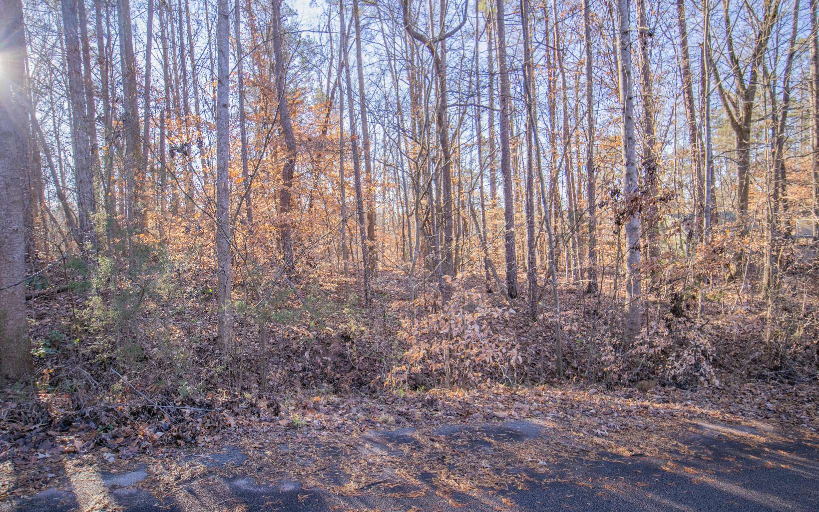 23 Cheyenne Trail