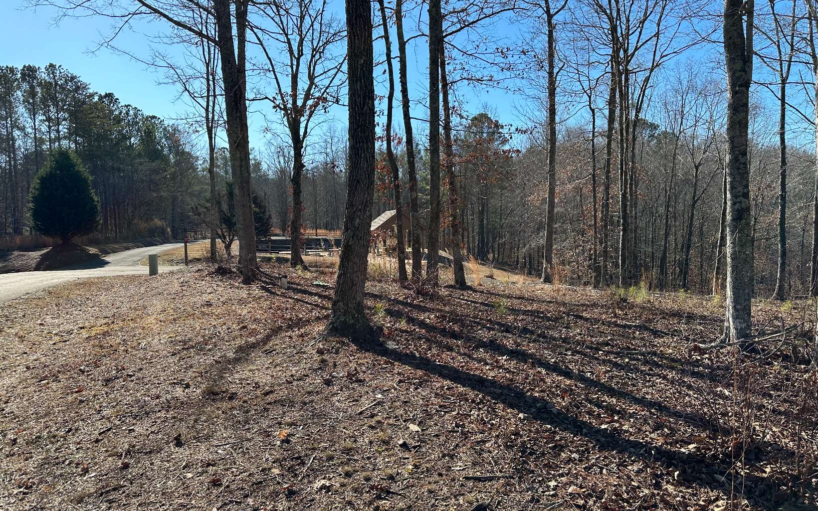 81 Country Road