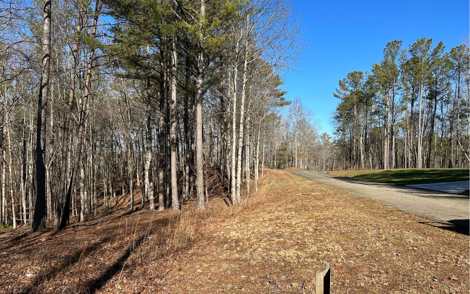 81 Country Road