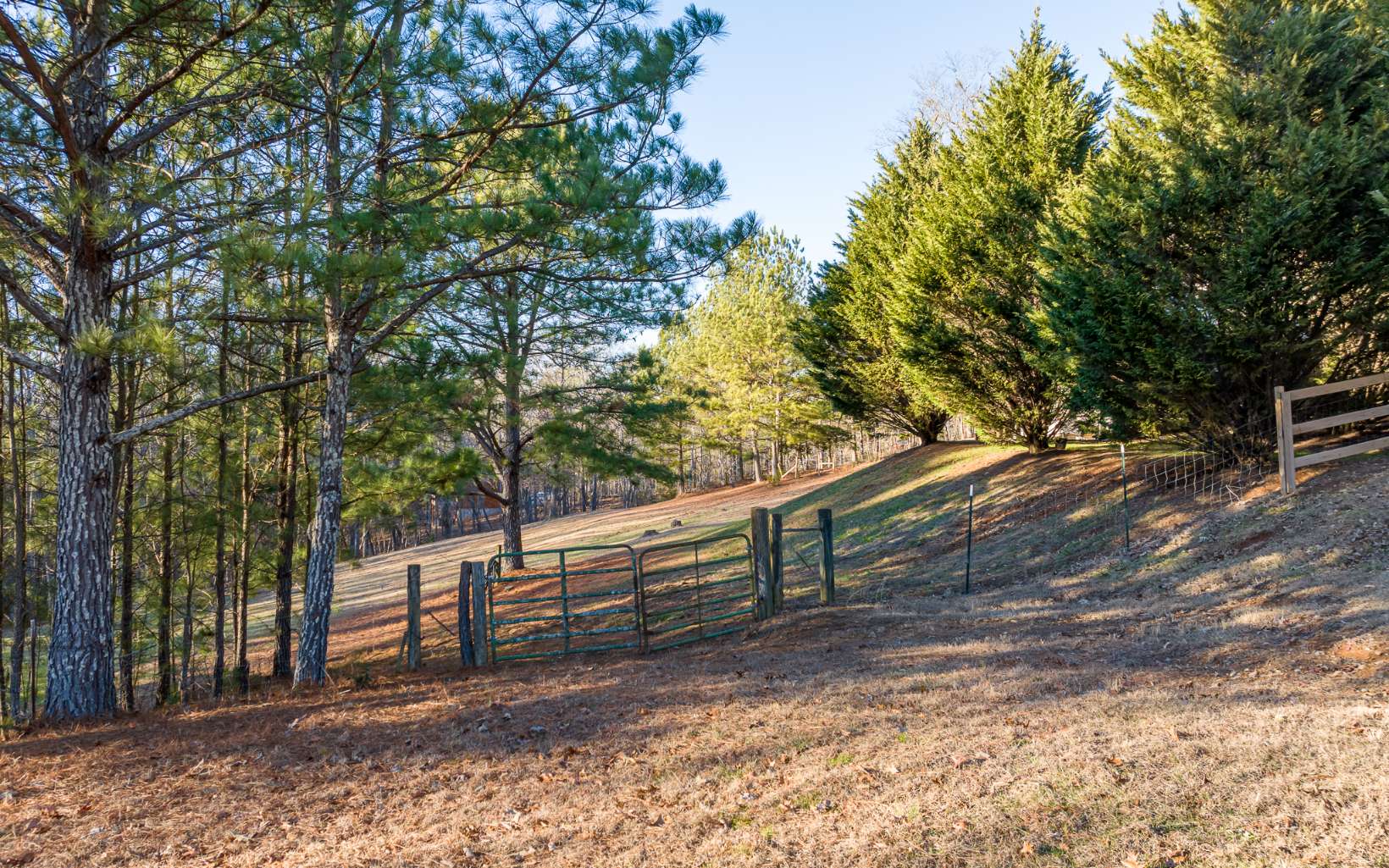 178 Windy Valley