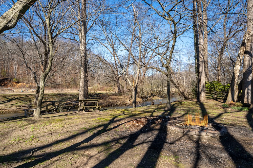 452 Cartecay River Run