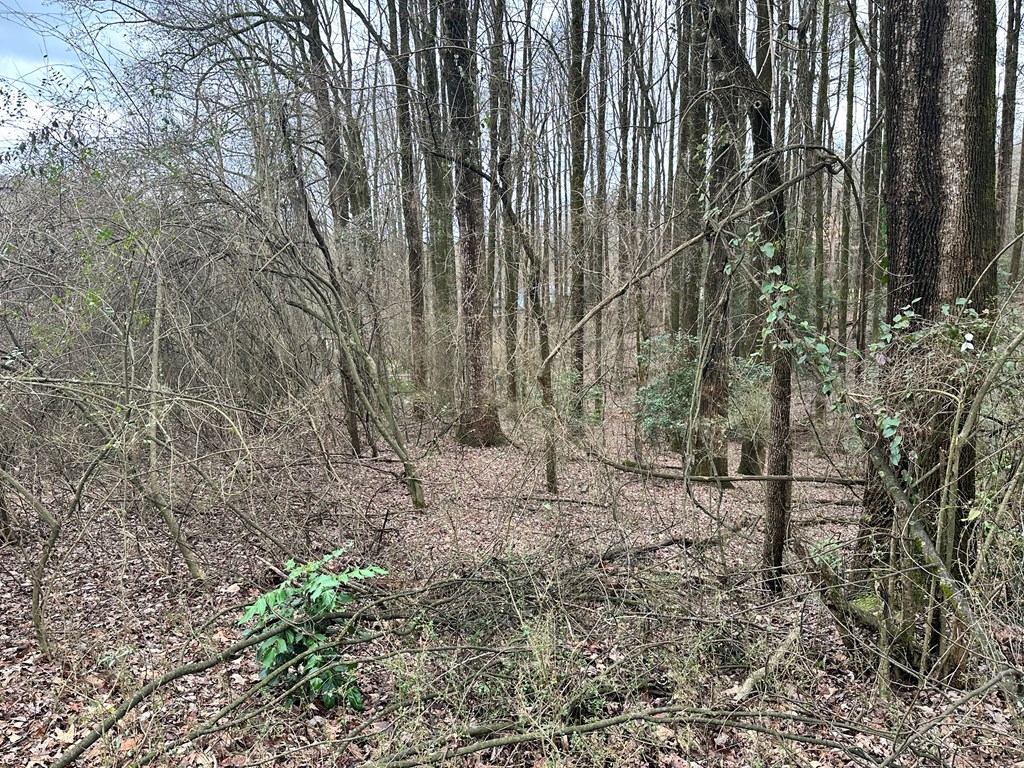 Lot 4 Timberwalk Drive