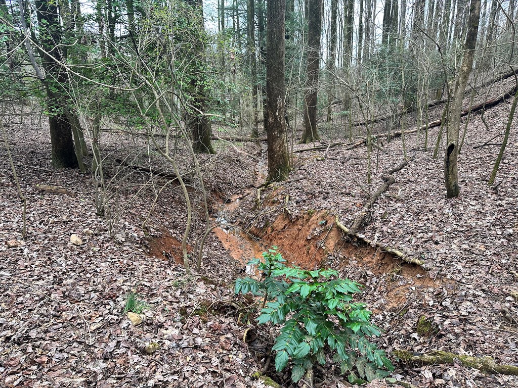 Lot 4 Timberwalk Drive