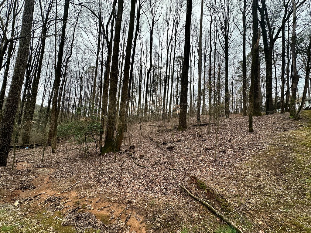 Lot 4 Timberwalk Drive