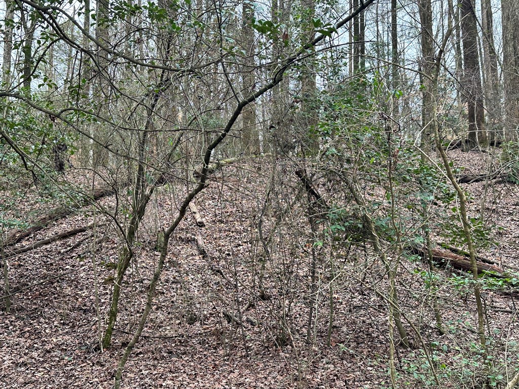 Lot 4 Timberwalk Drive