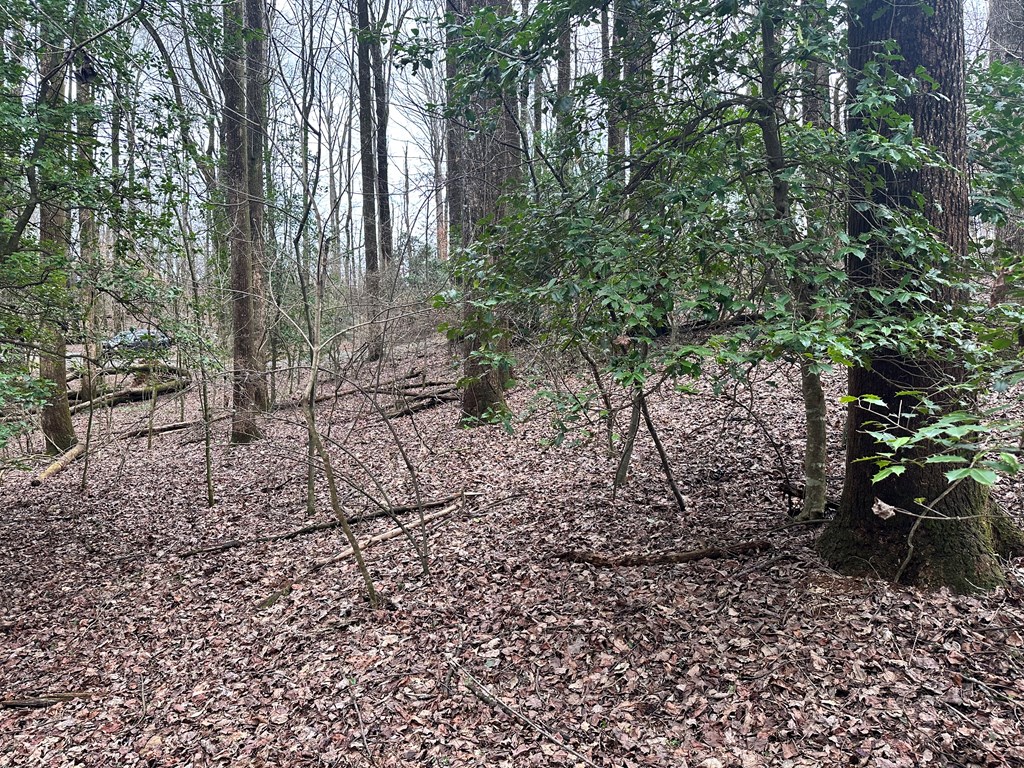 Lot 4 Timberwalk Drive