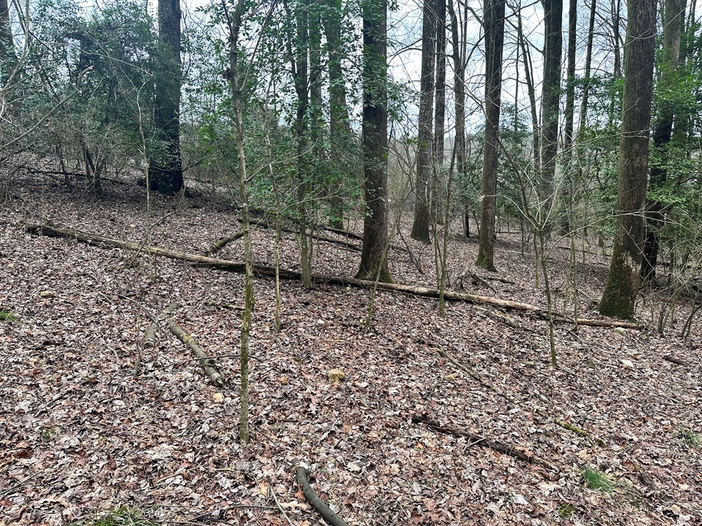 Lot 4 Timberwalk Drive