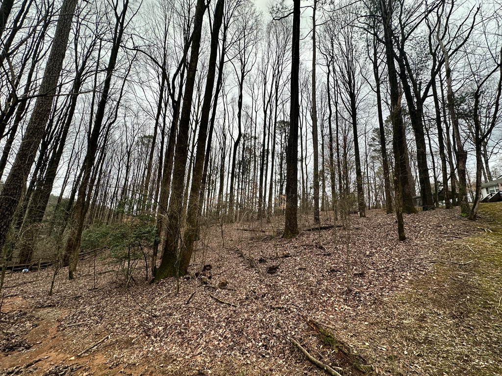 Lot 4 Timberwalk Drive