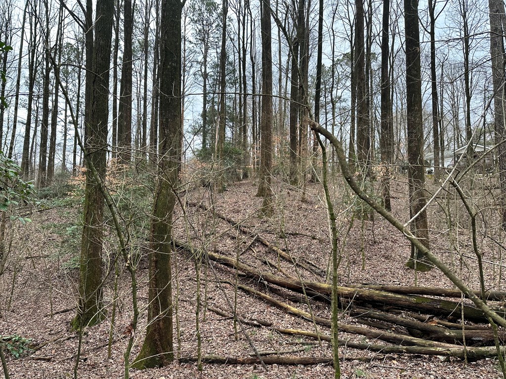 Lot 4 Timberwalk Drive