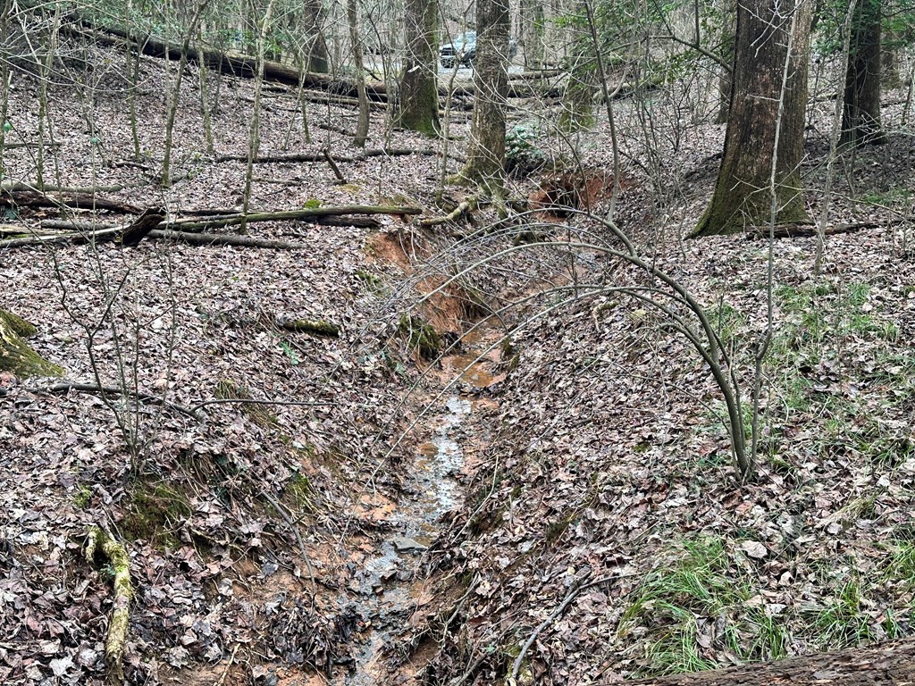 Lot 4 Timberwalk Drive