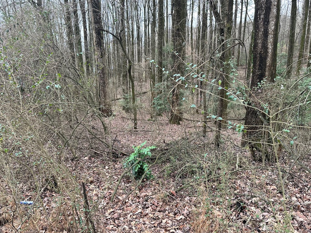 Lot 4 Timberwalk Drive