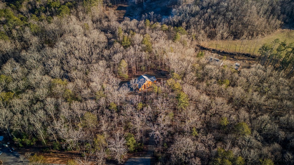 102 Red Hawk Trail