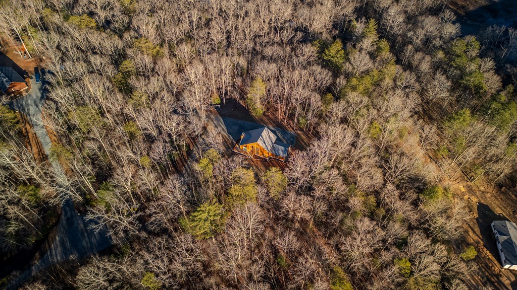 102 Red Hawk Trail