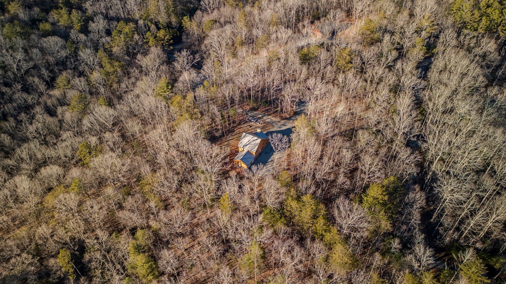102 Red Hawk Trail