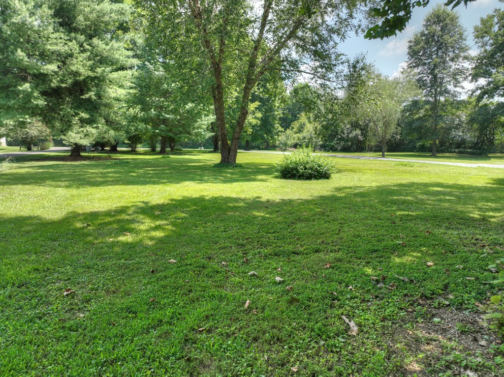 450 Cartecay River Run