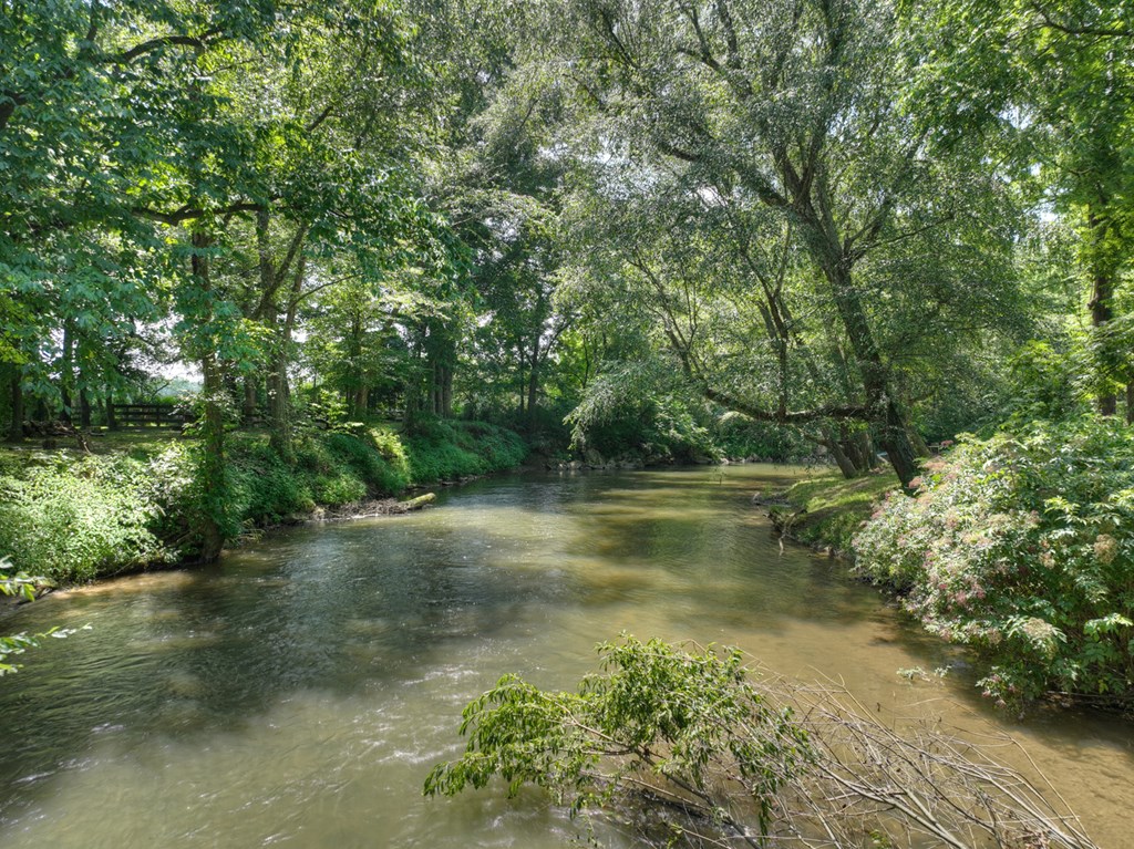 450 Cartecay River Run