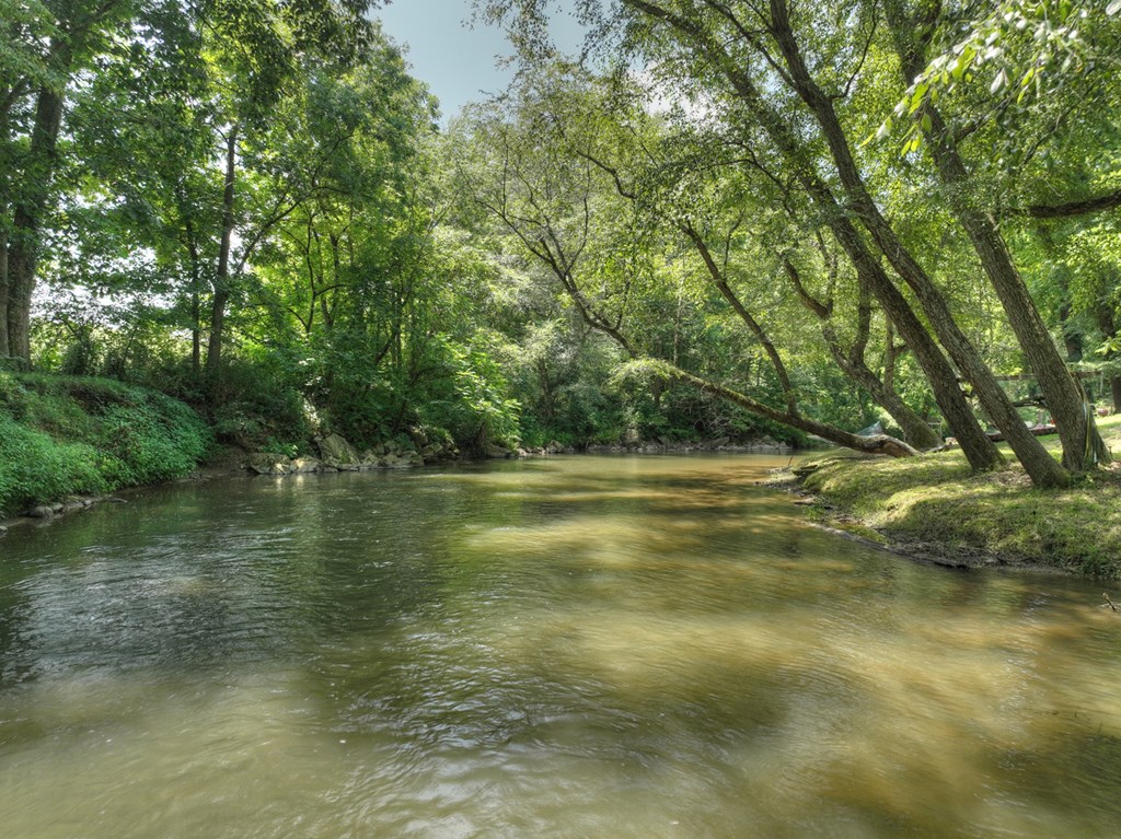 450 Cartecay River Run