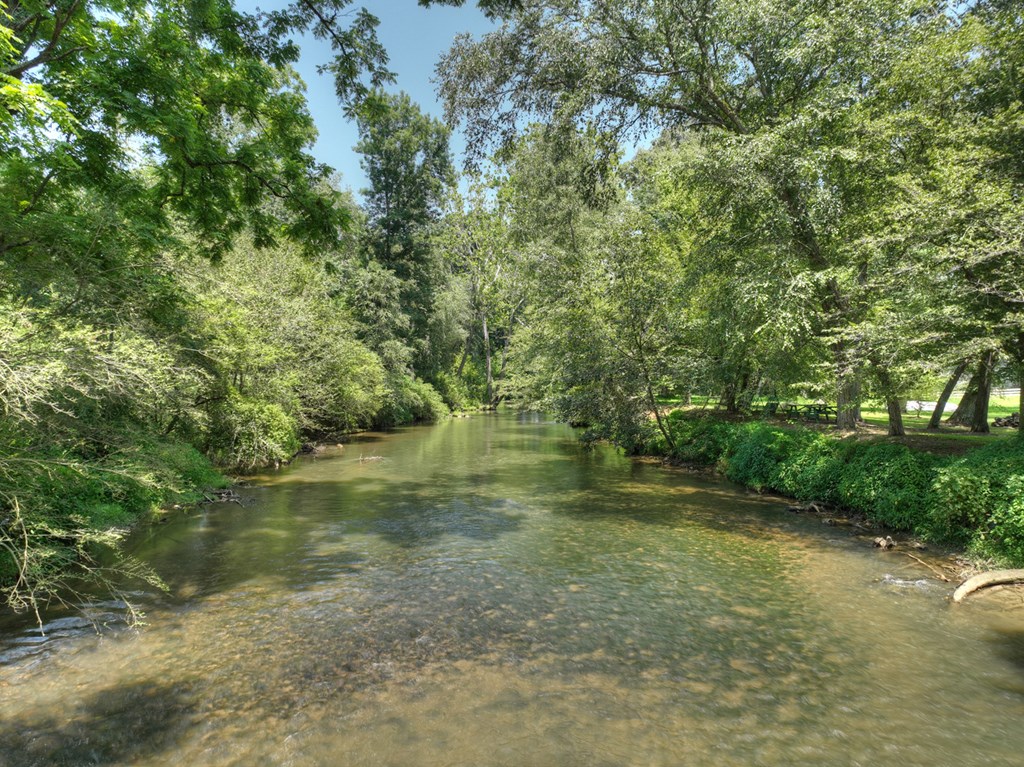 450 Cartecay River Run