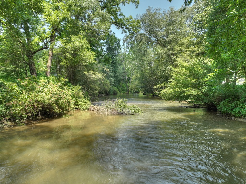 450 Cartecay River Run