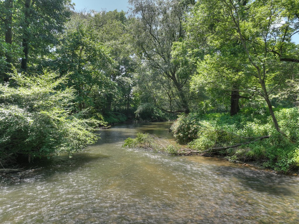 450 Cartecay River Run