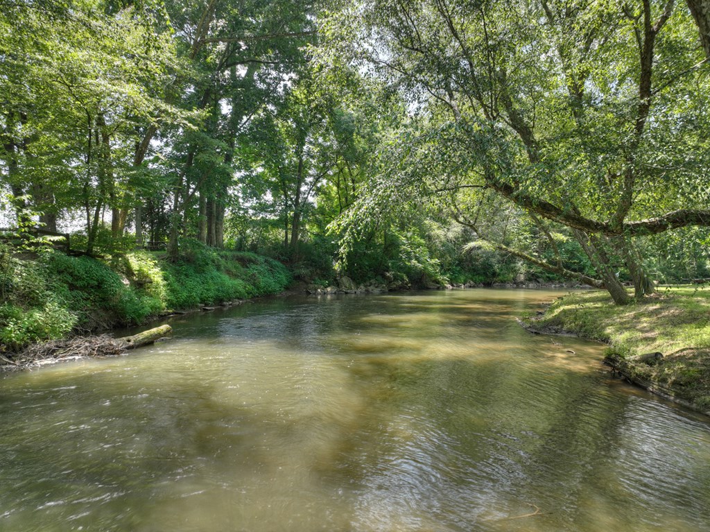 450 Cartecay River Run