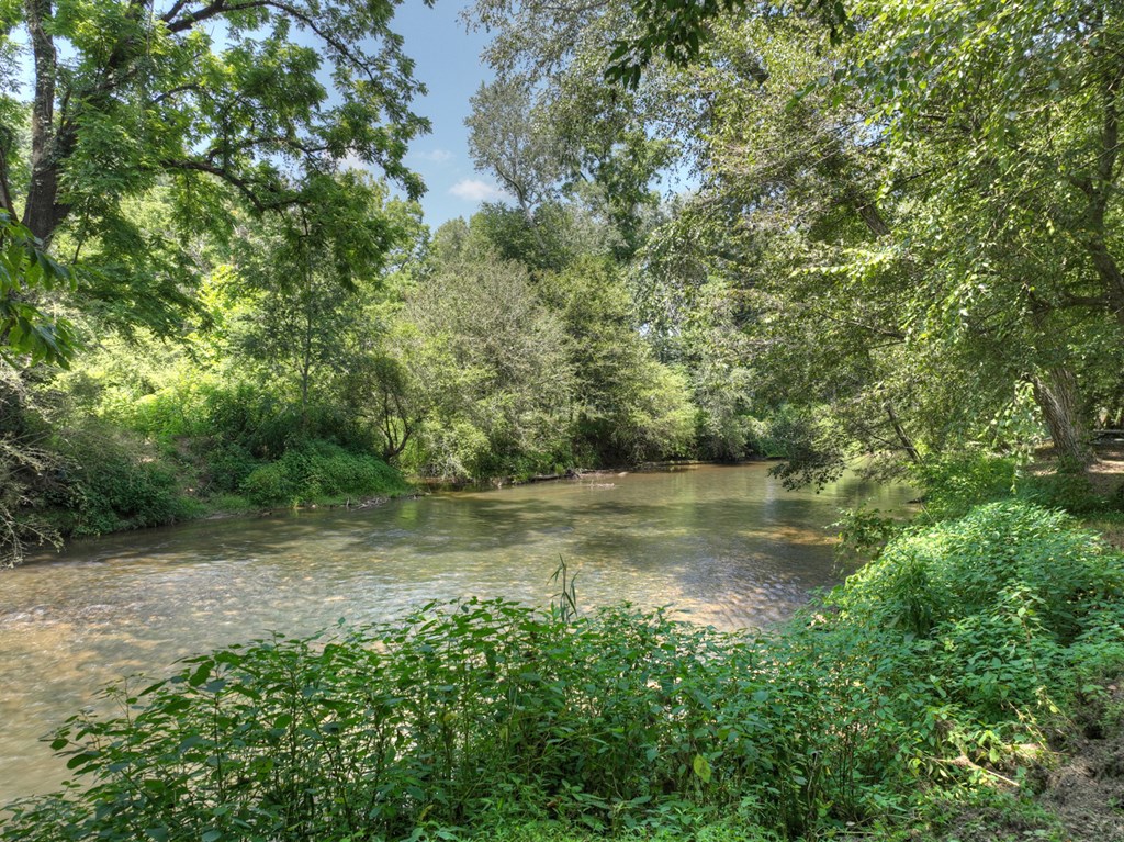 450 Cartecay River Run