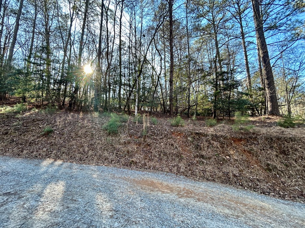 Lot 932 Matrix Lane