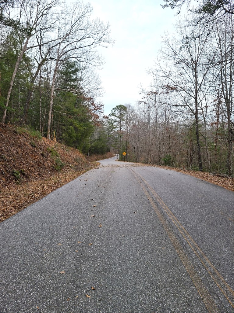 LT 3 Black Ankle Creek Road