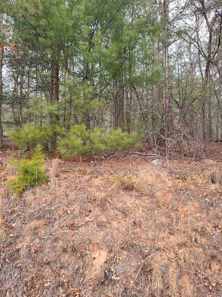LT 3 Black Ankle Creek Road