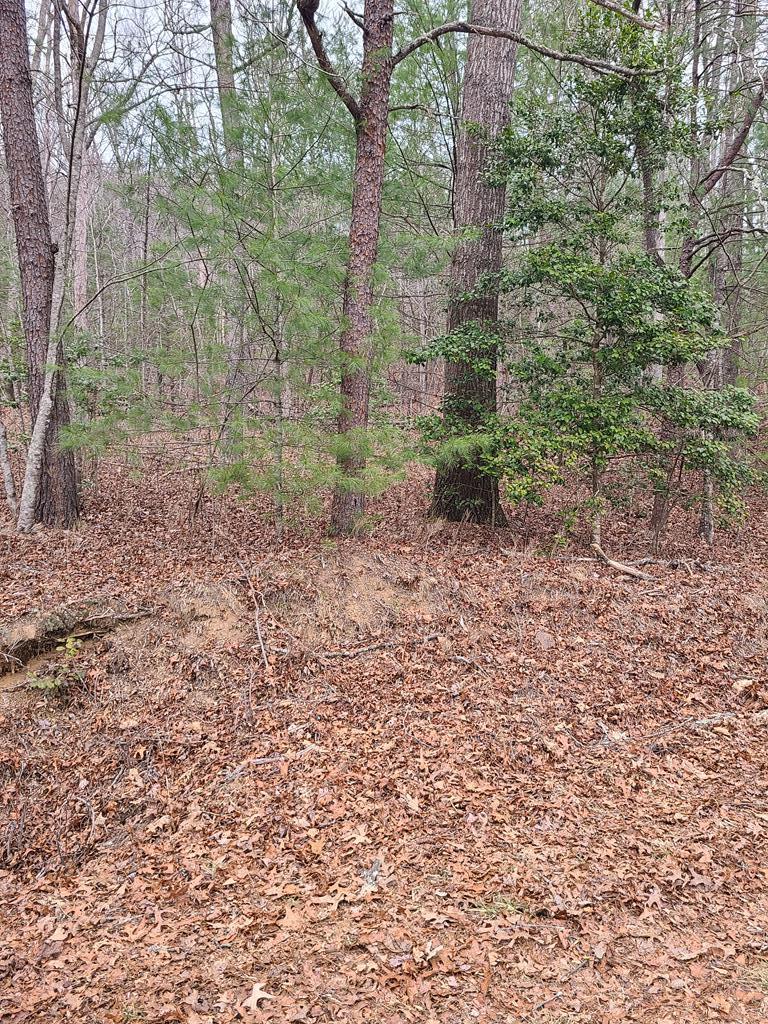 LT 3 Black Ankle Creek Road