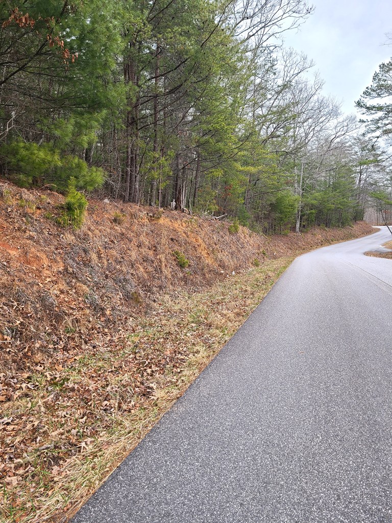 LT 3 Black Ankle Creek Road