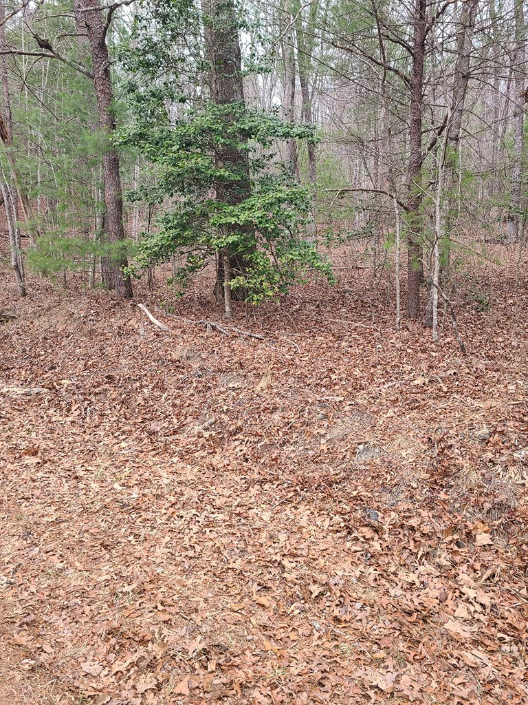 LT 3 Black Ankle Creek Road