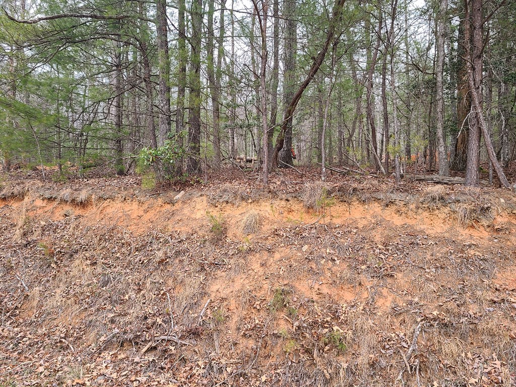 LT 3 Black Ankle Creek Road