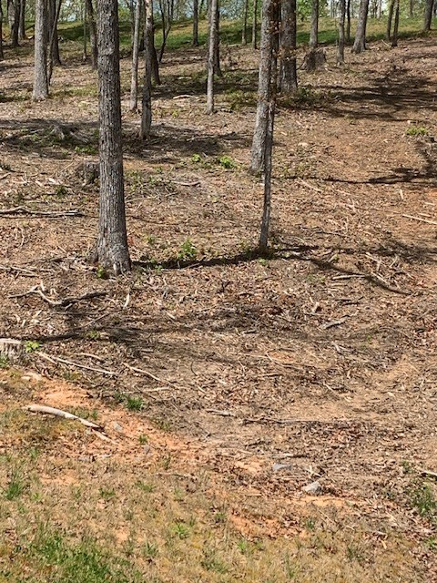 Lot #6 Lake Top